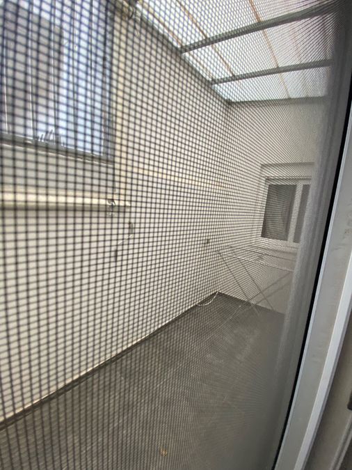 Photo 356205008