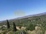 Photo 356770460
