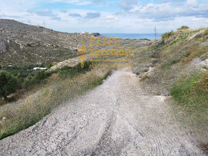 Photo 357196256