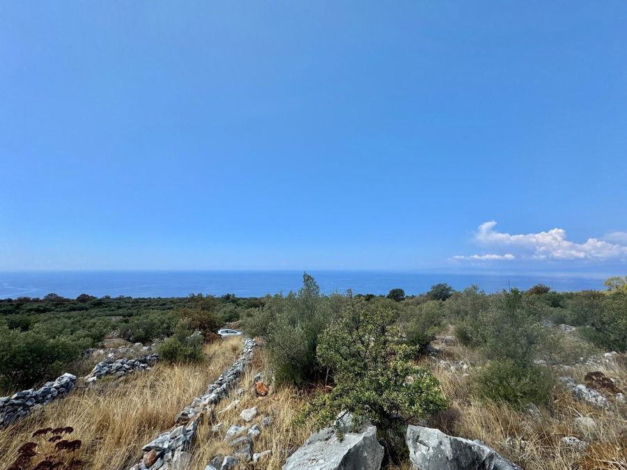 Photo 357314279