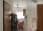 Photo 357490289