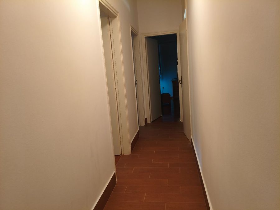 Photo 357533048
