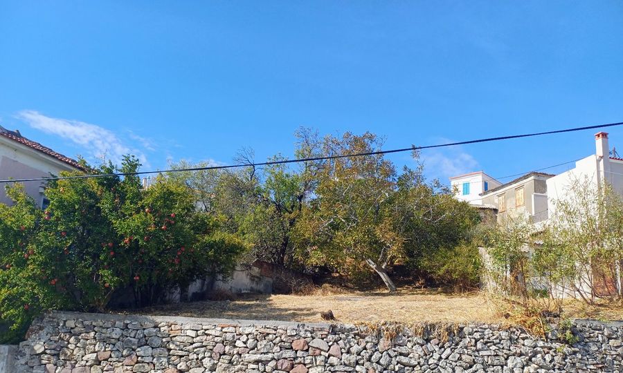 Photo 357719312