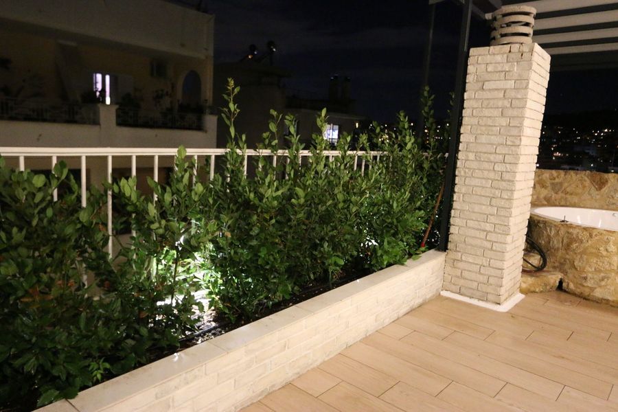 Photo 11