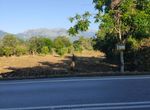 Photo 358304480