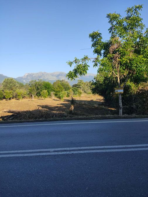 Photo 358304480