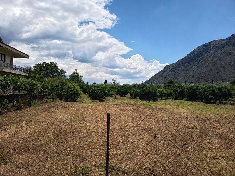 Photo 358760768