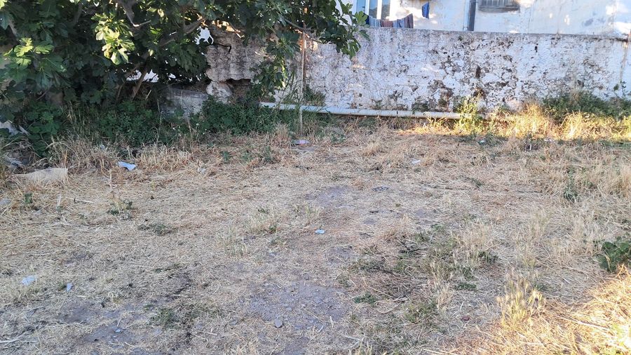 Photo 359406200