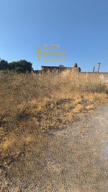 Photo 359792798