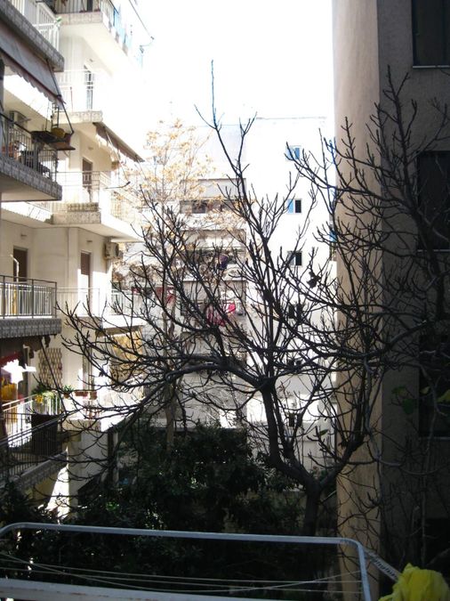 Photo 359910875
