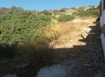 Photo 359973236