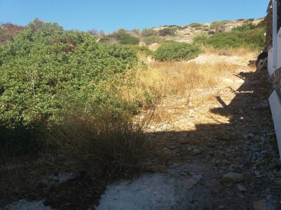 Photo 359973236