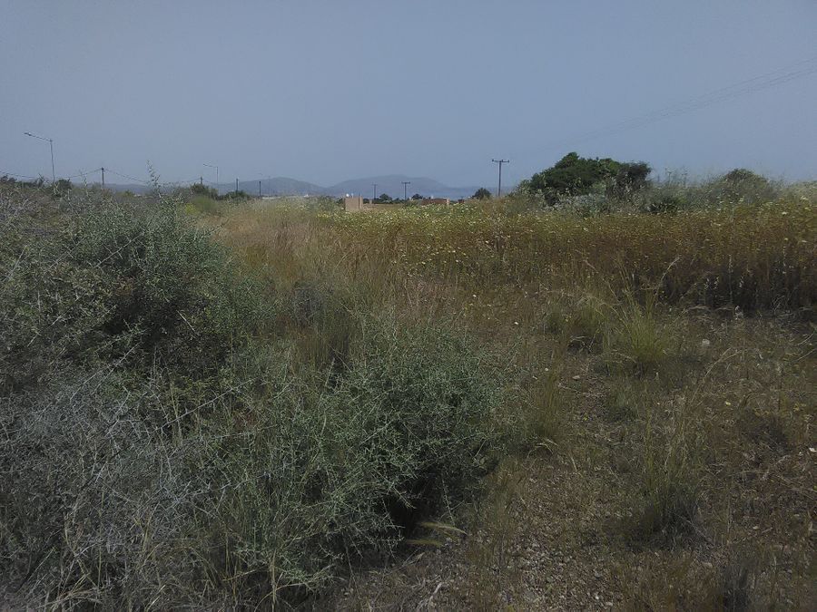 Photo 359973329