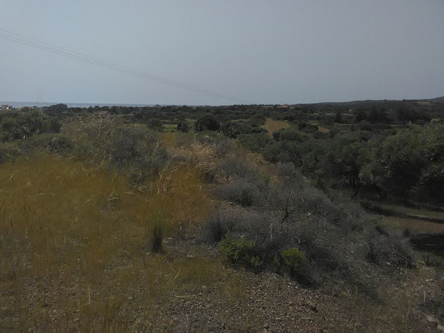 Photo 359973338
