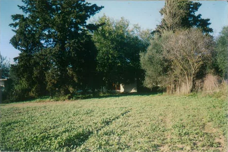 Photo 359974097