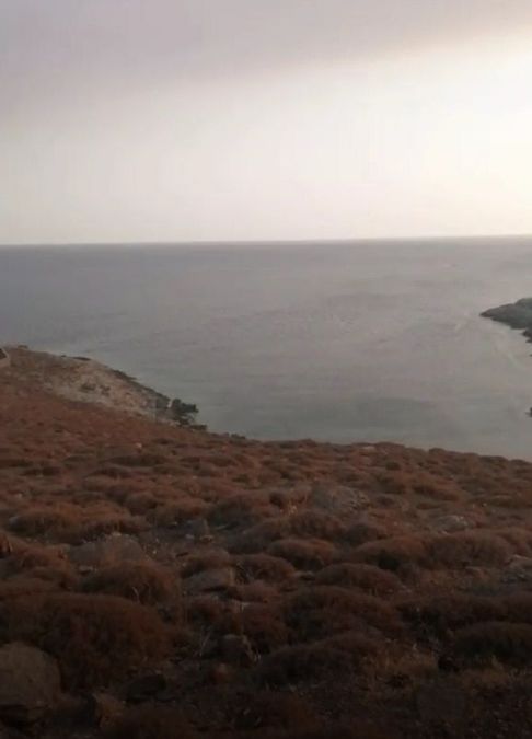 Photo 359975735