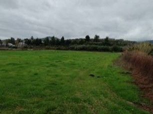 Photo 359976020