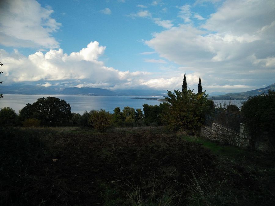 Photo 359976044