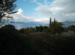 Photo 359976047