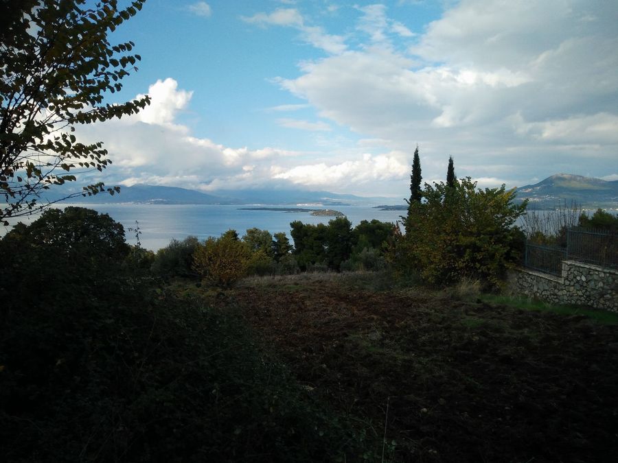 Photo 359976047