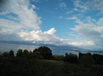 Photo 359976080