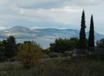 Photo 359976092