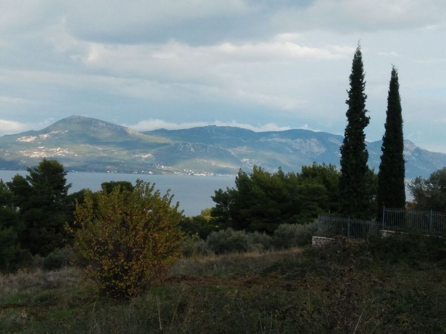 Photo 359976092