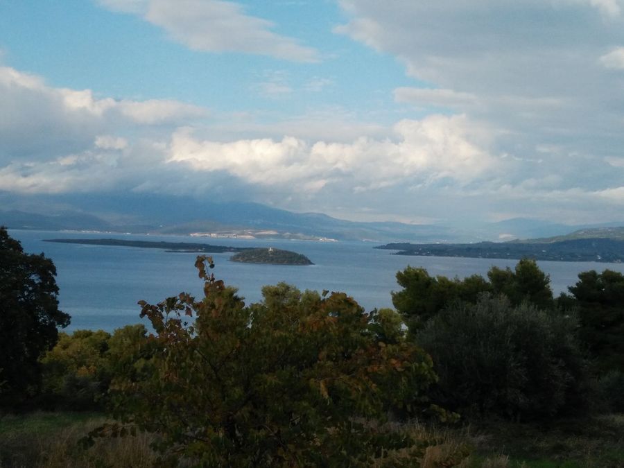 Photo 359976095