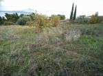 Photo 359976110