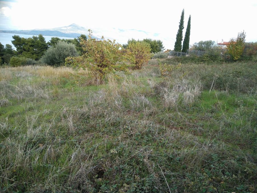 Photo 359976110