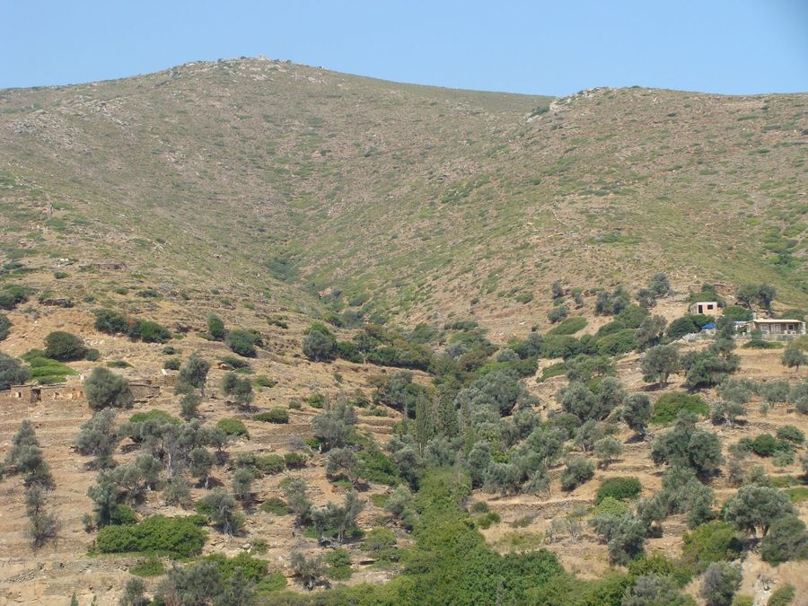 Photo 359977766