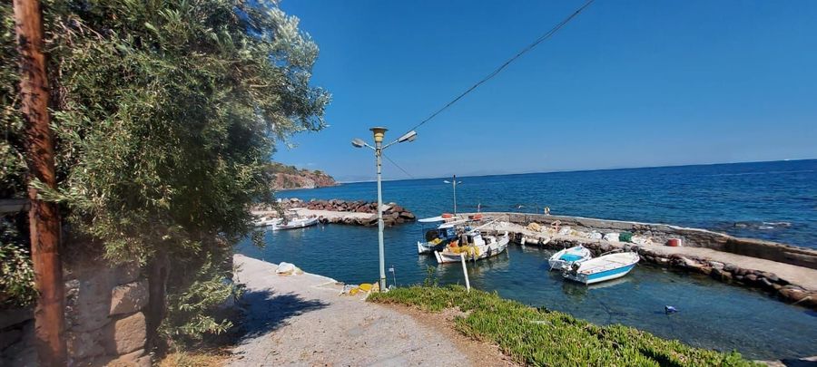 Photo 359978639