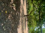 Photo 359978957