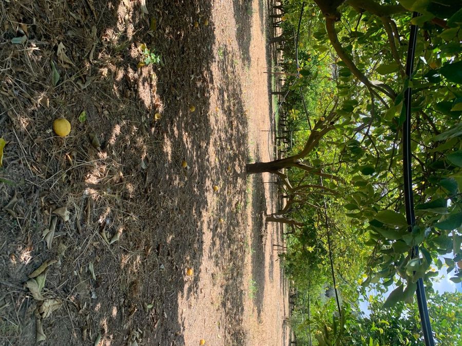 Photo 359978957