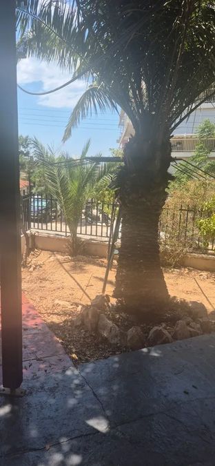 Photo 360082067