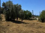 Photo 360257150