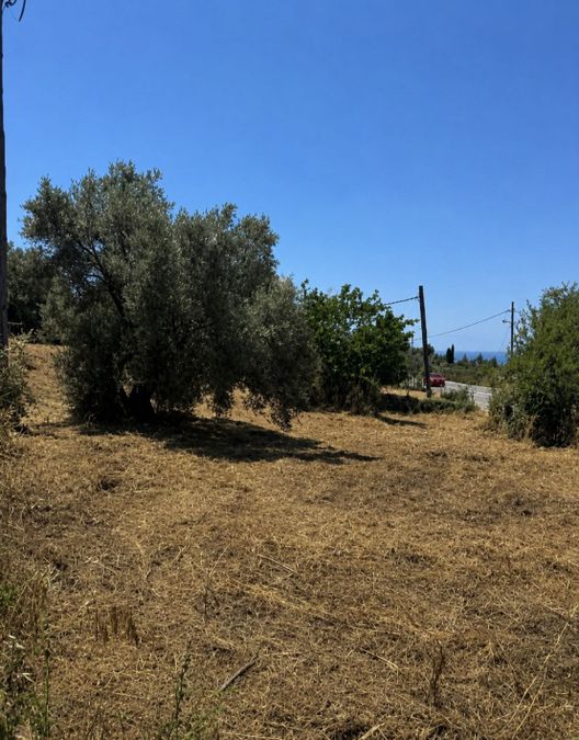 Photo 360257150
