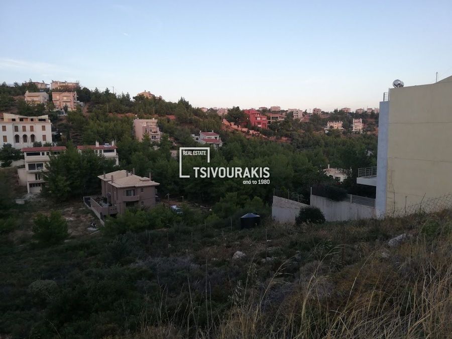 Photo 360421895