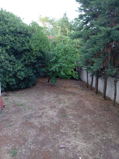 Photo 360472847