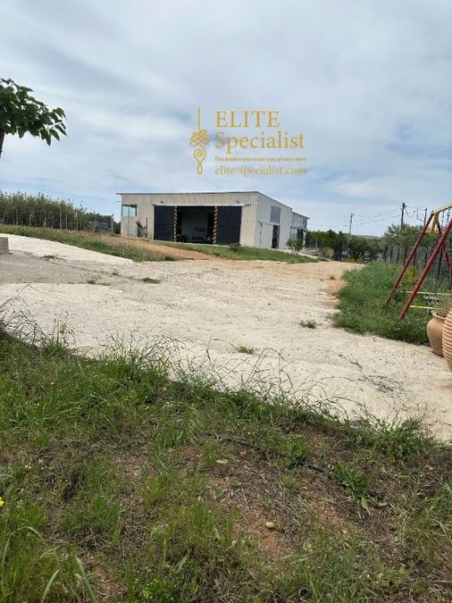 Photo 360520874