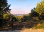 Photo 360521024