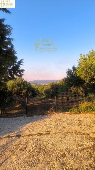 Photo 360521024