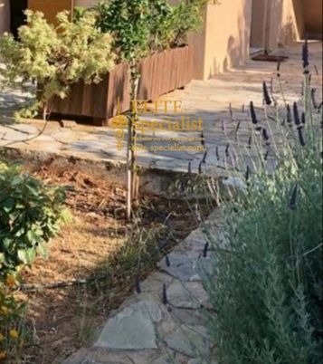 Photo 360521552
