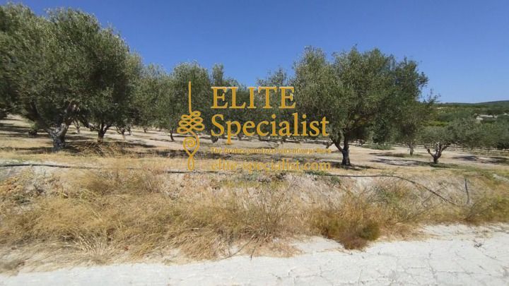 Photo 360537449