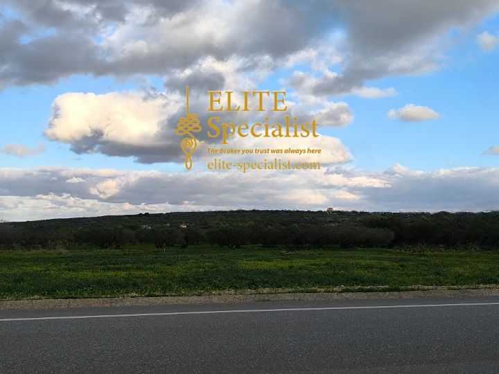 Photo 360538511