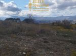 Photo 360539030