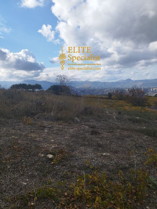 Photo 360539030