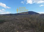Photo 360539033