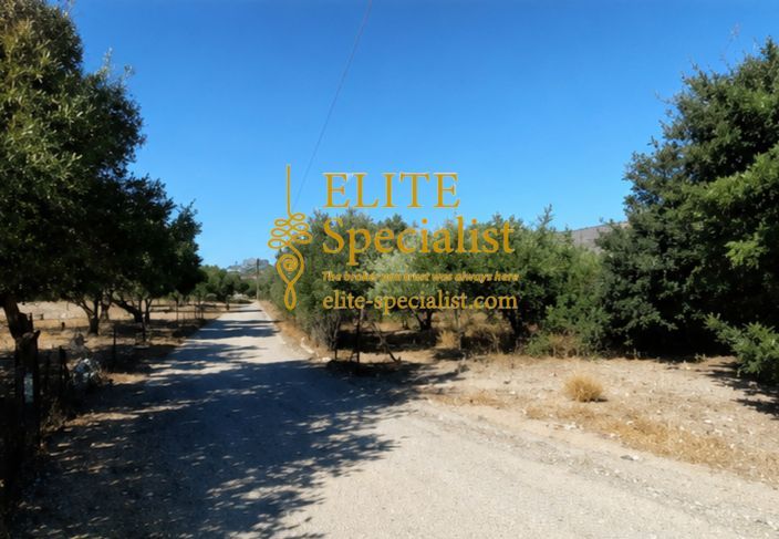 Photo 360799601