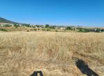 Photo 361054136